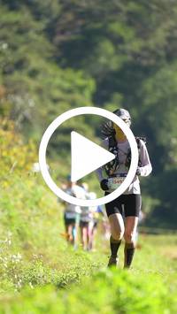 BIB:  <button type="button" onclick="openModal(26576717)" class="btn btn-primary btn-sm float-right" data-toggle="modal" data-target=".modal-high-quality">
                <i class="fa fa-download"></i> Download
                </button>